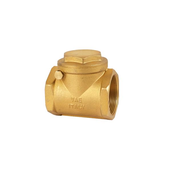 Rustproof One Way Water Check Valve 32mm 22mm Non Return Valve