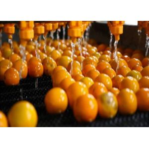China Fully Automatic Orange Juice Processing Line Machine For Citrus Processing Plants wholesale