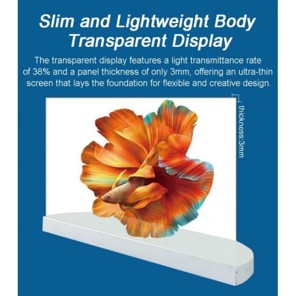 Indoor Digital Signage 4K Ultra HD Resolution Vertical Oled Transparent Screen Advertising Display with Pen/Finger Touch