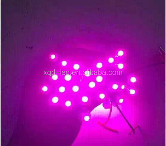 Outdoor RGBW LED Point Lights with DMX512 Controller For Christmas Decorations