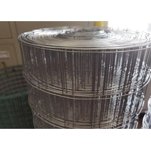 China Antirust 3.0mm 2 X 2 Galvanized Wire Mesh Welded Metal Mesh For Garden Decorative on sale