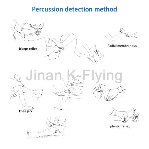 Medical Neurological Reflex Percussion Hammer Stainless Steel Handle