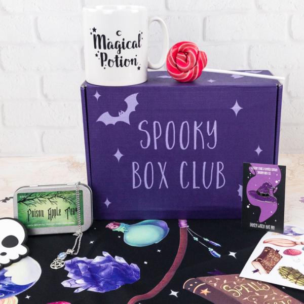 Custom Printing Environmentally Recyclable Violet Colour Clothes Corrugated Mailer Boxes