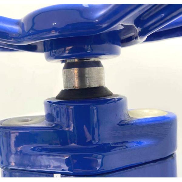 Rubber seated gate valve