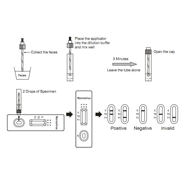 Extraction Buffer Strip Norovirus Rapid Test Kit Relaible Result Rapid Diagnostic