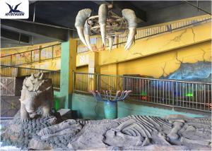 Indoor Museum Life Size Dinosaur Replicas , Sunproof Dinosaur Skeleton Replica