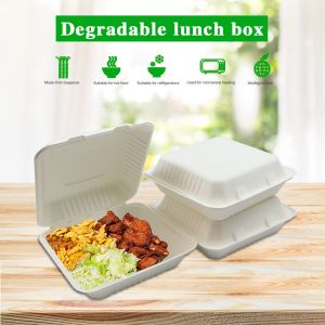Bagasse Clamshell Biodegradable To Go Box Compostable Lunch Box