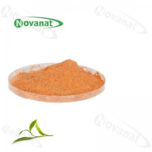 China Organic Green Tea Extract Powder 60% Polyphenols / 40% EGCG /Decaffeinated / Clean Label wholesale