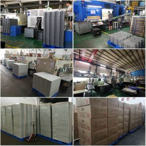 Guangdong Lokang Sports Technology Co., Ltd.