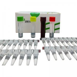China 14 Month Validity Isothermal Amplification Kit NFO Keep Away From Light Keep Away From Light on sale