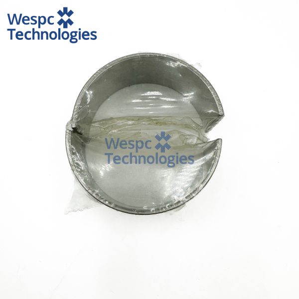 WESPC T400936 Bearing Replacement