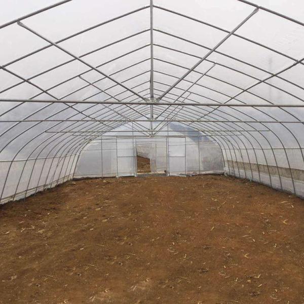 Single-span PE Covered Tunnel Plastic Greenhouse For Strawberry Grape Raspberry