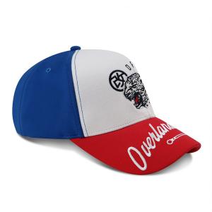 China 2019 hot sell 6 panel cotton embroidery logo baseball sports caps hats in stock custom cricket caps unisex gorras on sale