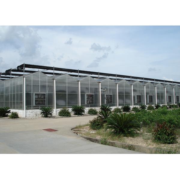 Customized Polycarbonate Sheet Greenhouse For Year Round Flower And Vegetable Growth