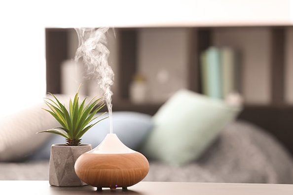 Free Samples Scented Candle Rose Mint Fragrance Essence Concentrated