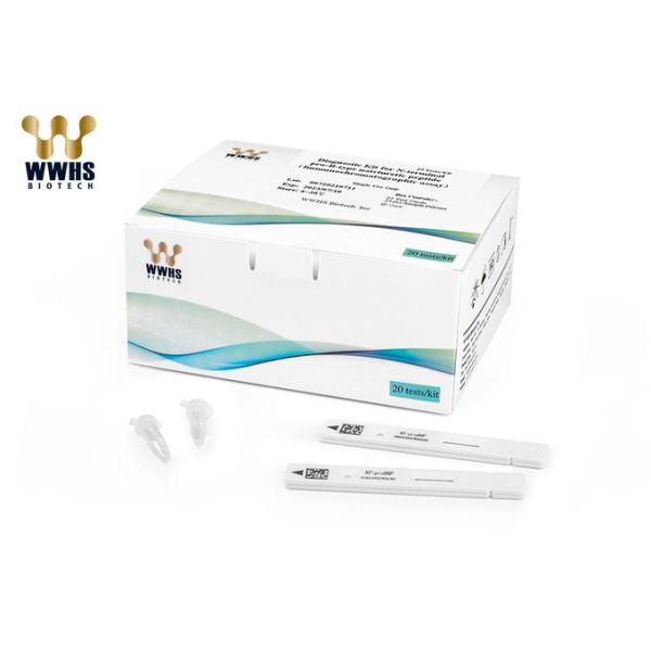 NT-ProBNP Rapid Test Kit Fluorescence Immunoassay Cardiac Testing