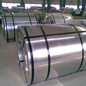 Regular Spangle GI Steel Coil Bright Surface 20mm-1250mm Width