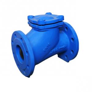 China 316 Ss Check Valve Stainless Steel Ball Check Valve Back Pressure Retention Swing Type wholesale