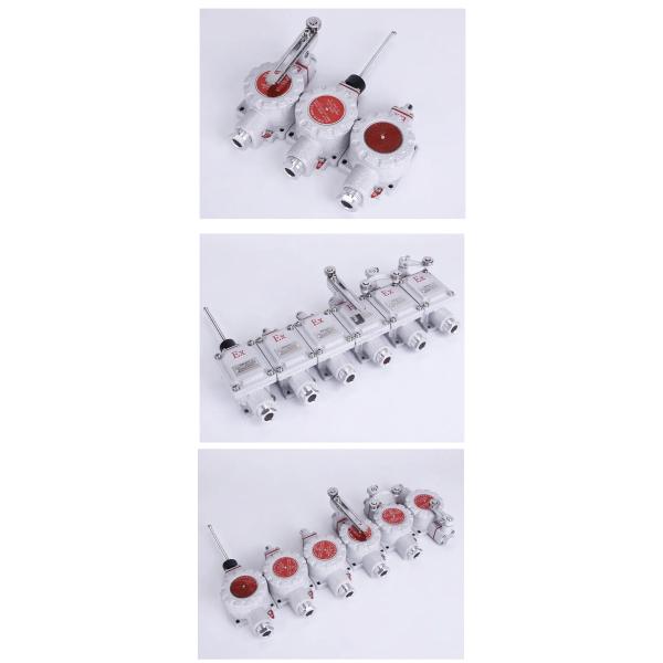 ATEX Explosion Proof Roller-type Travel Switch Zone 1 Zone 2