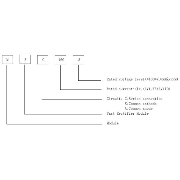 Fast Rectifier Module