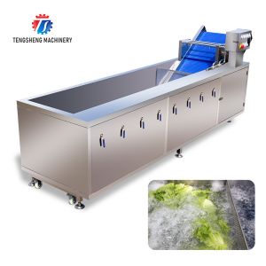 3KW Bubble Circulating Surfing Fruit And Vegetable Washing Machine Ozone