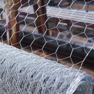 Galvanized Chicken Hexagonal Wire Mesh Fencing Poultry Netting