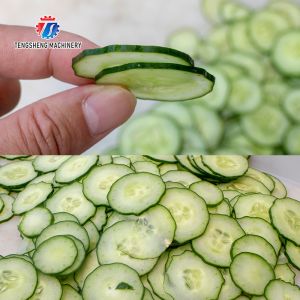 Small commercial vegetable cutting machine Vegetable and melon slicing, slicing