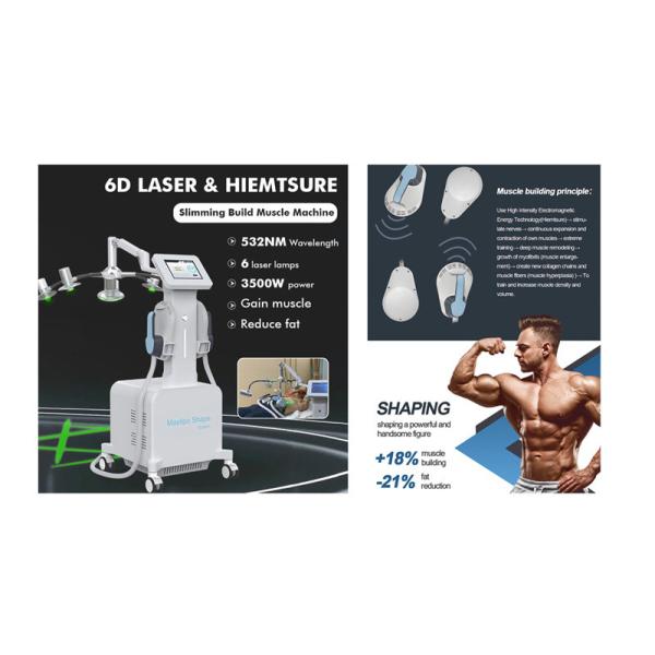 Low Level 6D Laser Fat Reduce 532nm Green 635nm Red Light Therapy Cold Laser Therapy Device