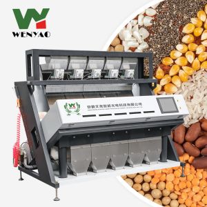 China High Accuracy CCD Camera Small Sunflower Seed/Nuts Color Sorter Color Sorting Machinee wholesale