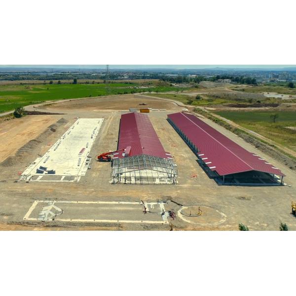 Prefabricated Livestock Shed Design Steel Structure Poultry House for Cow Pig Cattle Barn