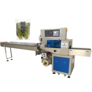 Automatic Servo Motor Plastic Bag Fruit Vegetable Packing Machine