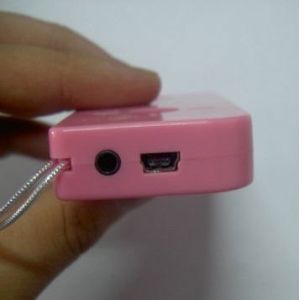 3.5mm jack USB rechargeable mini radio speaker