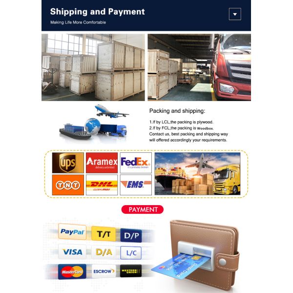 2024 New Modern Residential Small Garage Door with Remote Control Glass Inserted Aluminum Panel Windows Steel Material Home Use