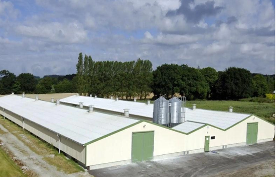 Multifunctional Steel Frame Chicken Coop Lightweight Steel Frame Building Mould Proof