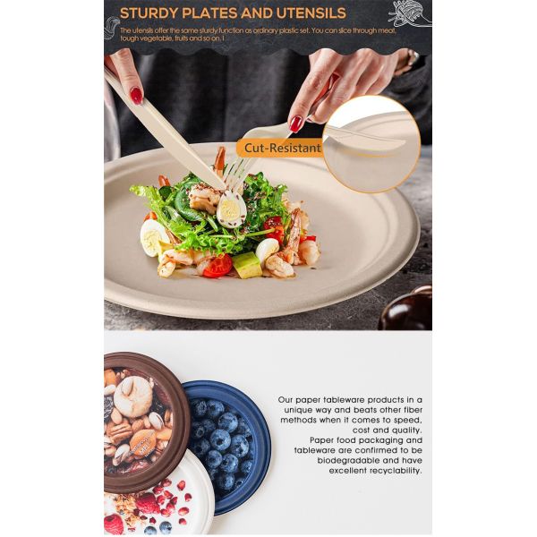 3 Compartment Recyclable Eco-friendly Sugarcane Food Container 9 Inch Clamshell Packaging