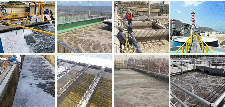 Integrated Mbbr Mini STP Plant Wastewater Treatment Plant