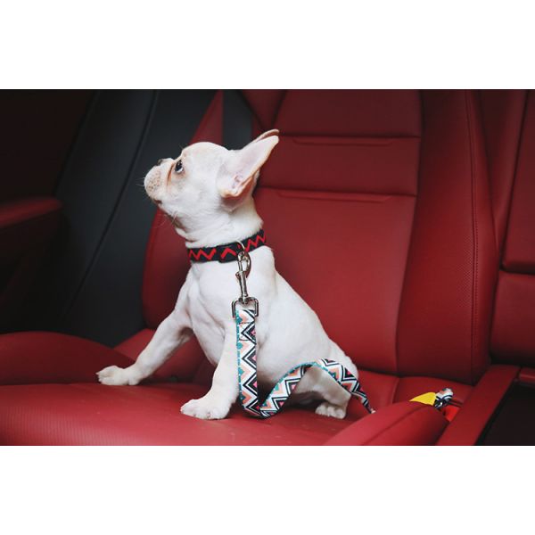 Puppy Pet Car Seatbelt Large Dog Seat Belt Harness 19ft Vehicle Training