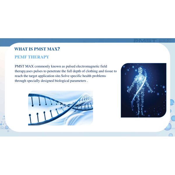 Pemf Mat Pulsed Electromagnetic Field Pemf Magnetic Therapy Mat Pmst Loop Pro Max For Human And Horse