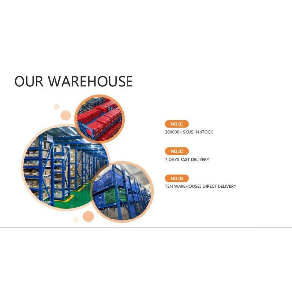 Reliable 3 Point Safety Belt Pretensioner Emergency Locking Seat Belt