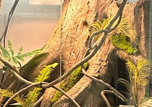 Vivarium Background Model SL-M14A Fine Workmanship Natural Realistic