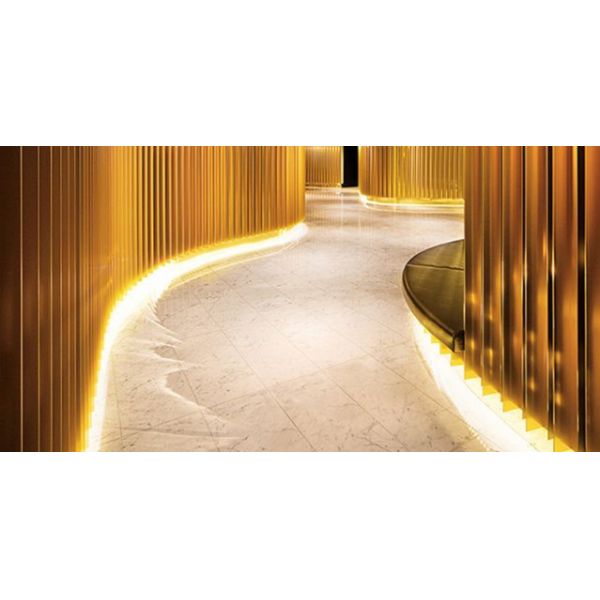 LEDCORP Dim to warm 2200-2700K COB Flex Strip CCT/IP68 Ideal for Creating Stunning Lighting Effects in Restaurants