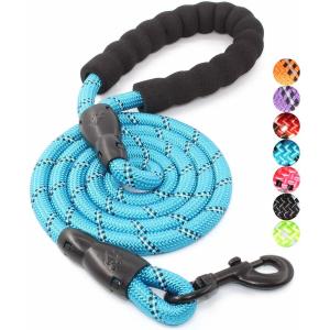 5 FT Nylon Dog Leash With Comfortable Padded Handle