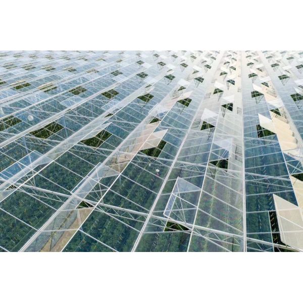 Float Single Layer Glass Greenhouse Hydroponic System