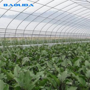 China Agricultural PE Film Polyethylene Plastic Sheeting Greenhouse Commercial on sale
