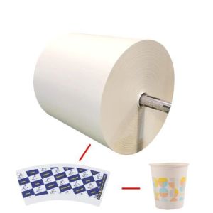 China PE Coated Raw Material Food Packing Paper Roll With 500~1500mm Width For Paper Cup Fans wholesale