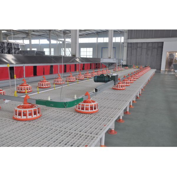 PSF-01 50mm Plastic Slat Floor Poultry Broilers For Piglet