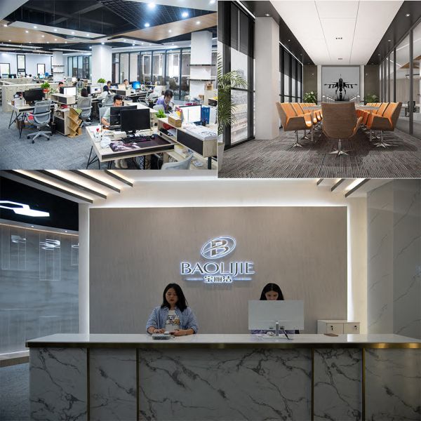 Baolijie SN-P1 Sonic Toothbrush with 33600RPM 60 Days Runtime and 6 Modes Rechargeable Electric Toothbrush