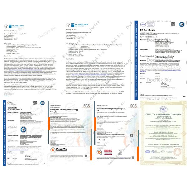 Fast MDSAP Digital Pregnancy Rapid Tester Portable Easy Test