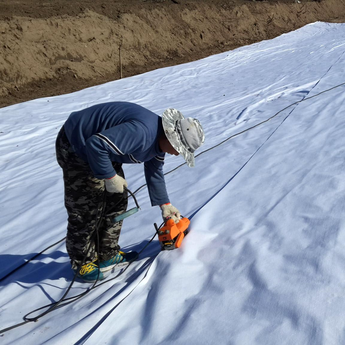 1.3kW Hand-Held Plastic Welding Machine for HDPE PVC Tarpaulin Welding Efficiency