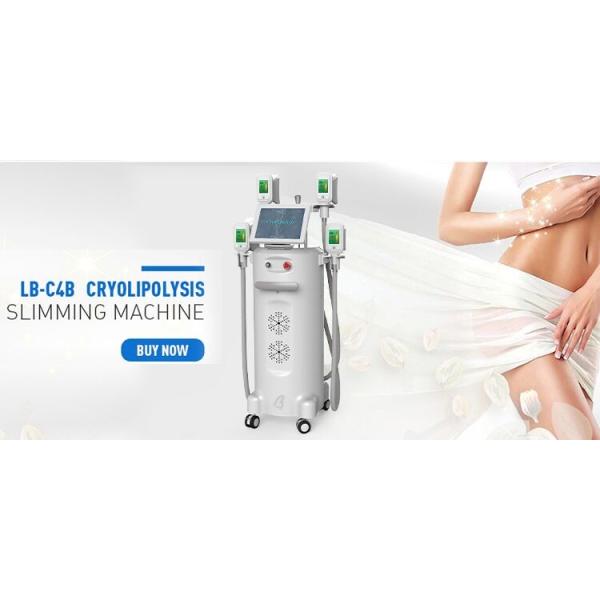 Cryolipolysis Cryotherapy Slimming Machine Price Fat Freezing Machine CE loss weight shaping